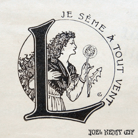 Dictionnaires en ligne : Un outil indispensable pour le XXIe siècle