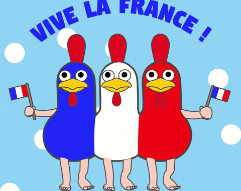 France Paris Actualités de France et d'ailleurs : Une vision globale de l'information