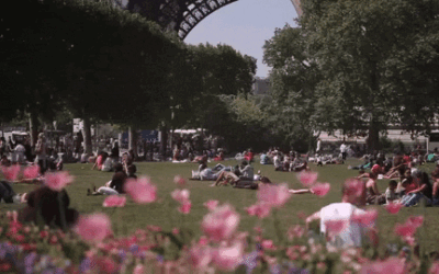 Habiter en France dans la capitale Paris : Avantages, défis et conseils