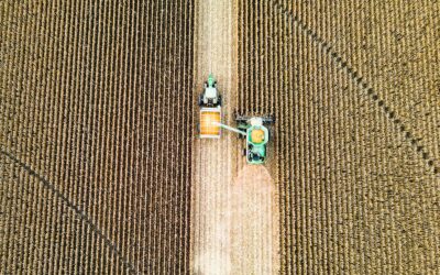 Magazine Agriculture et Nouvelles Technologies : Une Révolution pour le Secteur Agricole