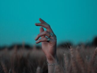 Le site du bien-être : un espace essentiel pour cultiver santé, équilibre et sérénité