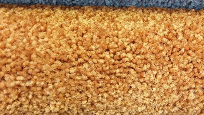 tapis, échantillon de tapis, velours, moquette, design d'intérieur, intérieurs, tapis, tapis, tapis, tapis, échantillon de tapis, échantillon de tapis Les avantages du motif moquette pierre pour votre intérieur