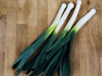 Comment cultiver des légumes biologiques chez soi