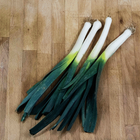 Comment cultiver des légumes biologiques chez soi