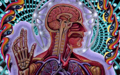 Le magazine santé réalisé avec Cœur depuis Limoges : un engagement pour une information responsable