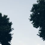 cc-captieux-grignols.fr : un regroupement de 17 communes en Gironde au service du territoire