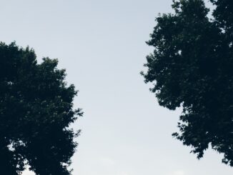 cc-captieux-grignols.fr : un regroupement de 17 communes en Gironde au service du territoire