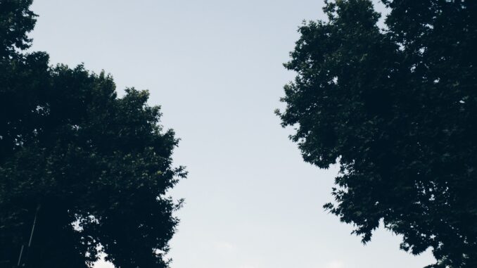 cc-captieux-grignols.fr : un regroupement de 17 communes en Gironde au service du territoire