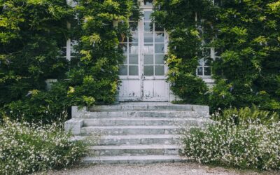 Magazine Seine-Maritime au service du territoire