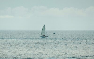 Communauté Isigny-Grandcamp-Intercom : un territoire dynamique entre mer et campagne