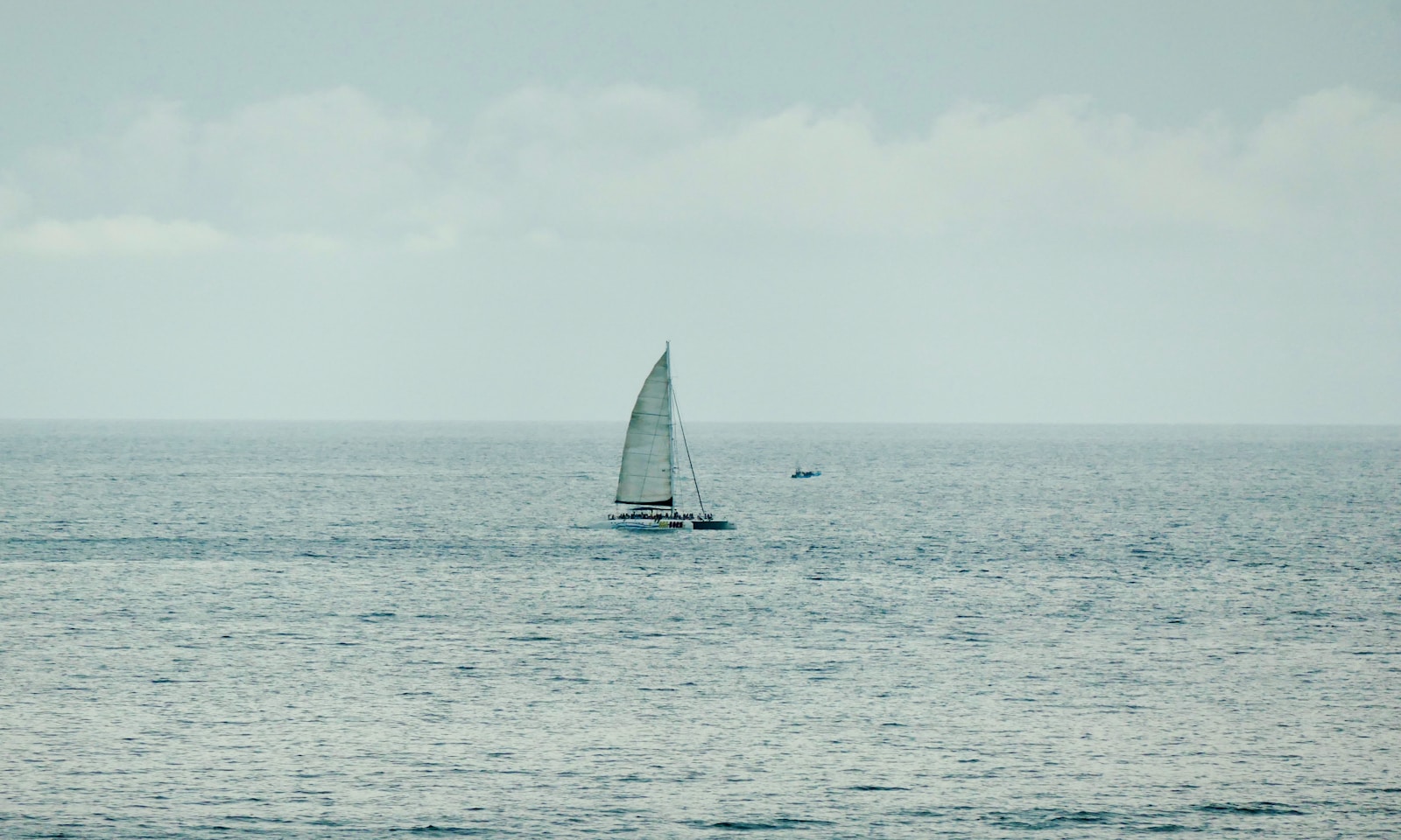 Communauté Isigny-Grandcamp-Intercom : un territoire dynamique entre mer et campagne
