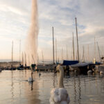 Tout Genève en ligne et l’info du web suisse.