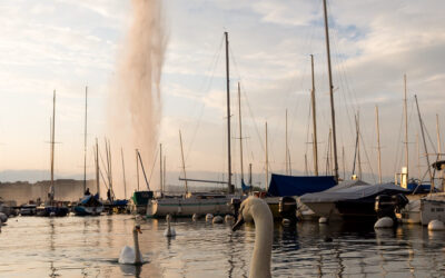 Tout Genève en ligne et l’info du web suisse.