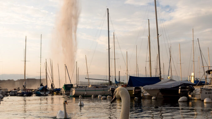 Tout Genève en ligne et l’info du web suisse.