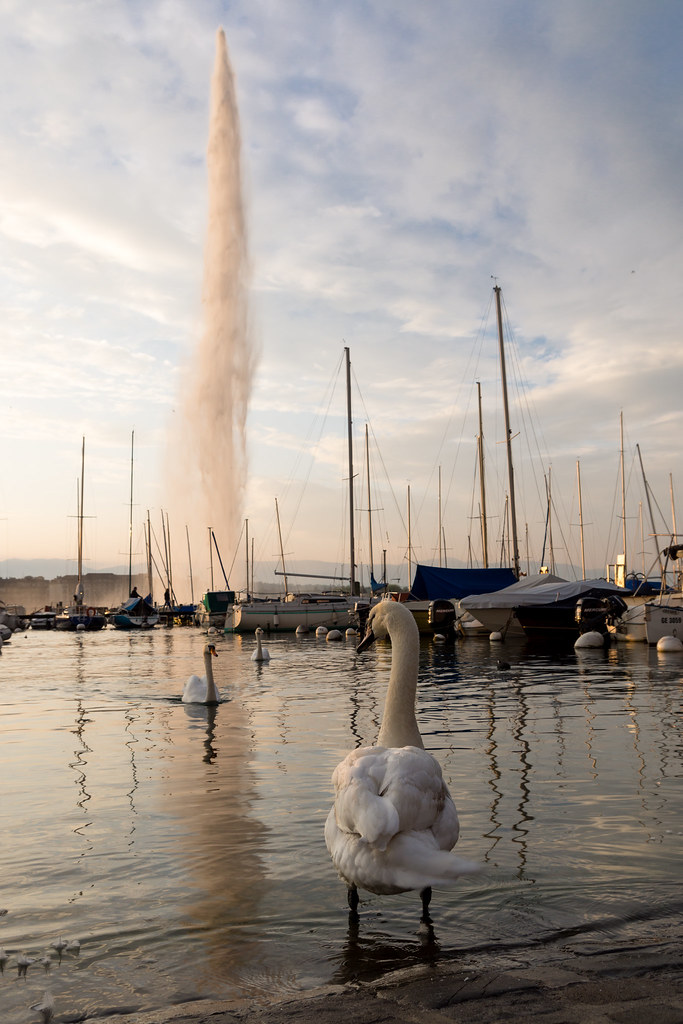Tout Genève en ligne et l’info du web suisse.