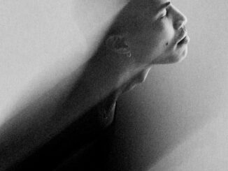 Le modérateur de l’information sur le web : garant de l’équilibre entre liberté et responsabilité numérique